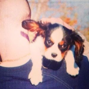 Meet your Posher, Matthew